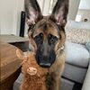 jdtomp